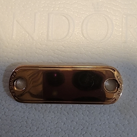 Pandora ME Styling Engravable Link - Picture 3 of 7
